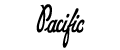 Partner Logo - Pacific | Weld Systems Integrators